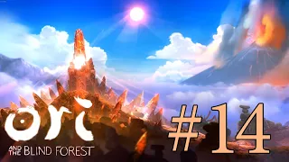 Ori and the Blind Forest прохождение. Часть 14. Заходим в ущелье скорби.