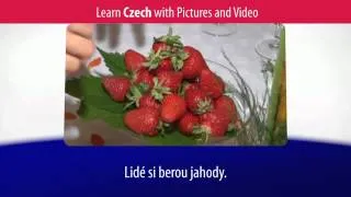 Learn Czech Vocabulary with Pictures and Video - Top 20 Czech Verbs 3