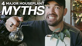 4 Houseplant Myths We Should Stop Believing