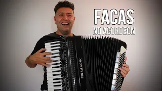 FACAS (VANEIRA) Acordeon Instrumental - Diego & Victor Hugo / Bruno & Marrone