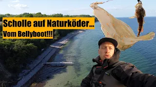 Plattfisch Scholle & Co. Angeln mit dicken Fang in der Ostsee vom Bellyboot