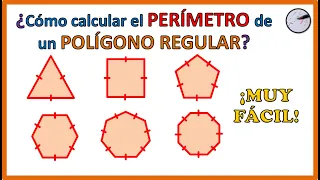 PERÍMETRO de un POLÍGONO REGULAR | SUPER FÁCIL 🤩