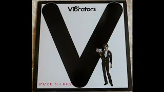 The Vibrators - Pure Mania 1977 Full Album Vinyl