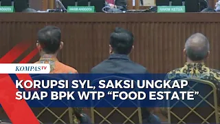 Saksi: Auditor BPK Minta Uang Pelicin Rp12 M Agar Kementan Dapat Opini WTP