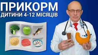 Прикорм малюка з 4 до 12 місяців на грудному і штучному вигодовуванні. Що, коли? Таблиця, продукти