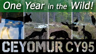 One Year in the Finnish Wilderness | Ceyomur CY95 Trail Camera