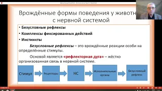 Зоопсихология 2, Формы поведения. Нервные системы. Хандожко И И