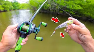 Fishing TOPWATER in PONDS - COPS CALLED (Bank Fishing)