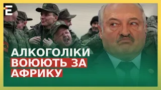 🤡Чому за АФРИКУ в Україні воюють і як ВИЛІКУВАТИ російського солдата від алкоголізму?