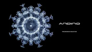 ANDINO(AR) - PROGRESSIVE SELECTIONS 003