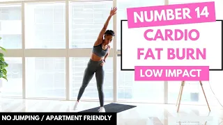 No Jumping - LOW IMPACT CARDIO Workout | Beginner Friendly - No.14