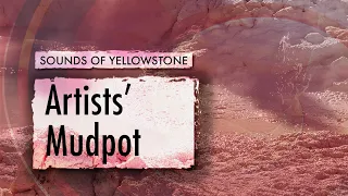Artists' Mudpot — ASMR, Sleep, Concentration (Sounds of Yellowstone)