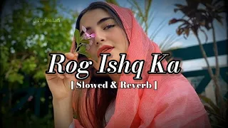 Rog Ishq ka "slowed and reverb" song new trending songs lyrics by sapna choudhary