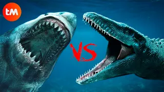 MEGALODON VS MOSASAURUS: Who's The KING Of The SEAS?