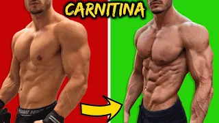 CARNITINA - il POTENTE BRUCIA GRASSI che NESSUNO ha capito COME UTILIZZARE 😅