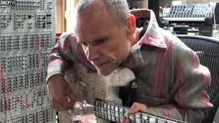 Flea - Bass, Modular Synthesizer And Pure Emotion!