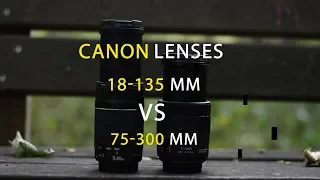 Canon Lens 18- 135 VS 75-300 mm compare + Canon 80D