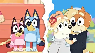 Bluey Season 4 - What We Need To Know