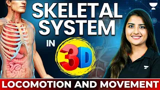 Skeletal System in 3D | Locomotion and Movement | NEET 2024 | Seep Pahuja