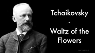 Waltz of the Flowers | The Nutcracker | Tchaikovsky