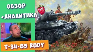 T-34-85 Rudy • WoT Blitz анализ боя • Зимняя Малиновка • "О чем думает Дима во время боя?"
