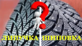 ПОЧЕМУ ЛИПУЧКА ЛУЧШЕ ШИПОВКИ ?