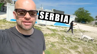 Jedziemy przez Serbię #114