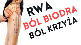 BÓL KRZYŻA, BIODRA, RWA KULSZOWA - masaż pistoletem na punkty spustowe - dr n. med. Marcin Wytrążek