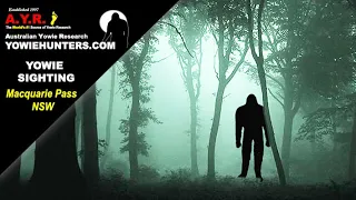 Yowie / Bigfoot Sighting (Audio Report #161) at Macquarie Pass National Park, New South Wales