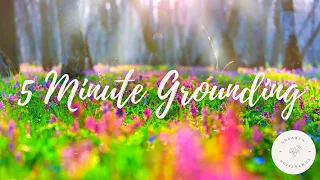 5 Minute Grounding Meditation | Meditation to Feel Grounded and Relaxed