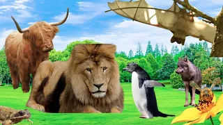 Three minute of Amazing All Animals Sound  - Animal videos