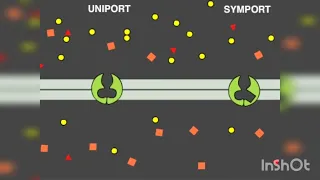 Carrier Proteins | Symport | Uniport | Antiport