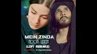 Mein Zinda Hoon Lekin Kahan Zindagi Hai - (Lofi Remake) Tu Jo Nahi To Kuch Bhi Nahi | Sad Lofi Song