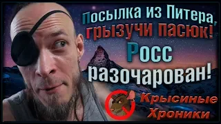 Нежданчик из Питера, грызучий пасюк, и крысята. Все в одном! (Wild Rats | Дикие Крысы)