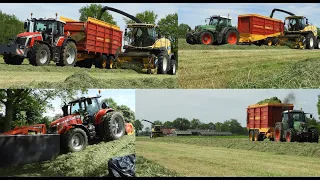 Gras hakselen  MF 8s 265, 7715.  New Holland FR 550. Loonbedrijf Van der Vegt. Grasoogst 2023