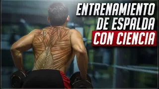 El mejor entrenamiento de espalda / CIENTÍFICAMENTE COMPROBADO