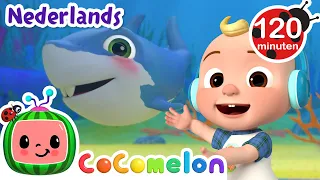 Babyhaai | CoComelon Nederlands - Kinderliedjes