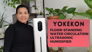 YOKEKON Cool Mist Humidifier With 8 Litre Capacity Review | Full Details