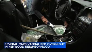 More than 20  cars vandalized in Kenwood