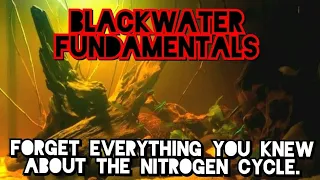BLACKWATER: How to Safely Set Up Low Ph, High Tannin, Acidic Aquariums. The World of Archaea & Fungi