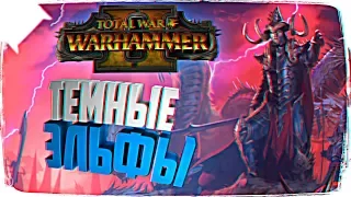 КАМПАНИЯ TOTAL WAR: WARHAMMER 2 ОБЗОР 💀 ТЕМНЫЕ ЭЛЬФЫ TOTAL WAR: WARHAMMER 2 ПРОХОЖДЕНИЕ НА РУССКОМ