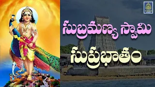 Subrahmanya Swami Suprabhatham | Subramanya Swami (Murugan ) Suprabhatam #Subramanya# SriDurga audio