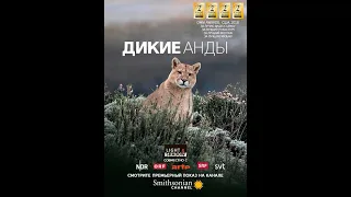 Дикие Анды / Экстремальное выживание