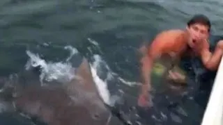 Australian daredevil has near miss with shark