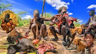 inside Hadzabe Tribe: Life of the Hunters,unseen Action from African Hadza