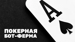 Как устроена покерная ферма?