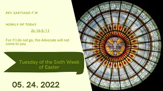 Homily of Today | Tuesday of the Sixth Week of Easter | 5/24/2022 | Rev. Santiago Martin FM