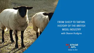 Sheep to Tartan 🐑 History of the British Wool Industry