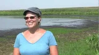 Ask an Expert- Wetland- Protection
