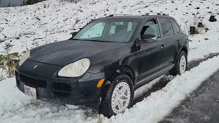 Jalapeño the Cayenne in the Spring Snowpacalypse!